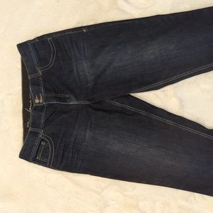 Lane Bryant Skinny Jeans